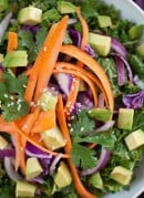 Asian Raw Kale Salad with Red Pepper Dressing